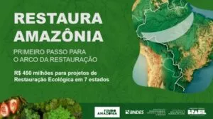 Captura-de-tela-2024-05-22-171036-300x167 Edital Restaura Amazônia dispõe R$ 450 mi para recuperação florestal