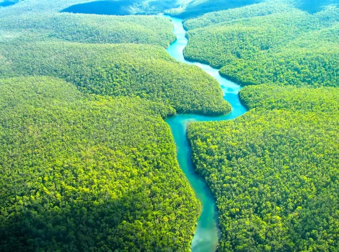 Amazônia