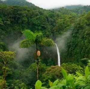 Captura-de-tela-2024-05-27-123649-300x295 Influência do Impacto do asteroide na moldura dos Andes e da América