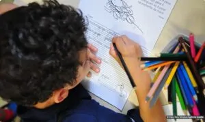 Captura-de-tela-2024-05-28-195154-300x179 Educação pública de qualidade atrairá estudantes de classe média