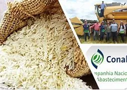 OIP Associações do RS garantem estoque de arroz para o Brasil
