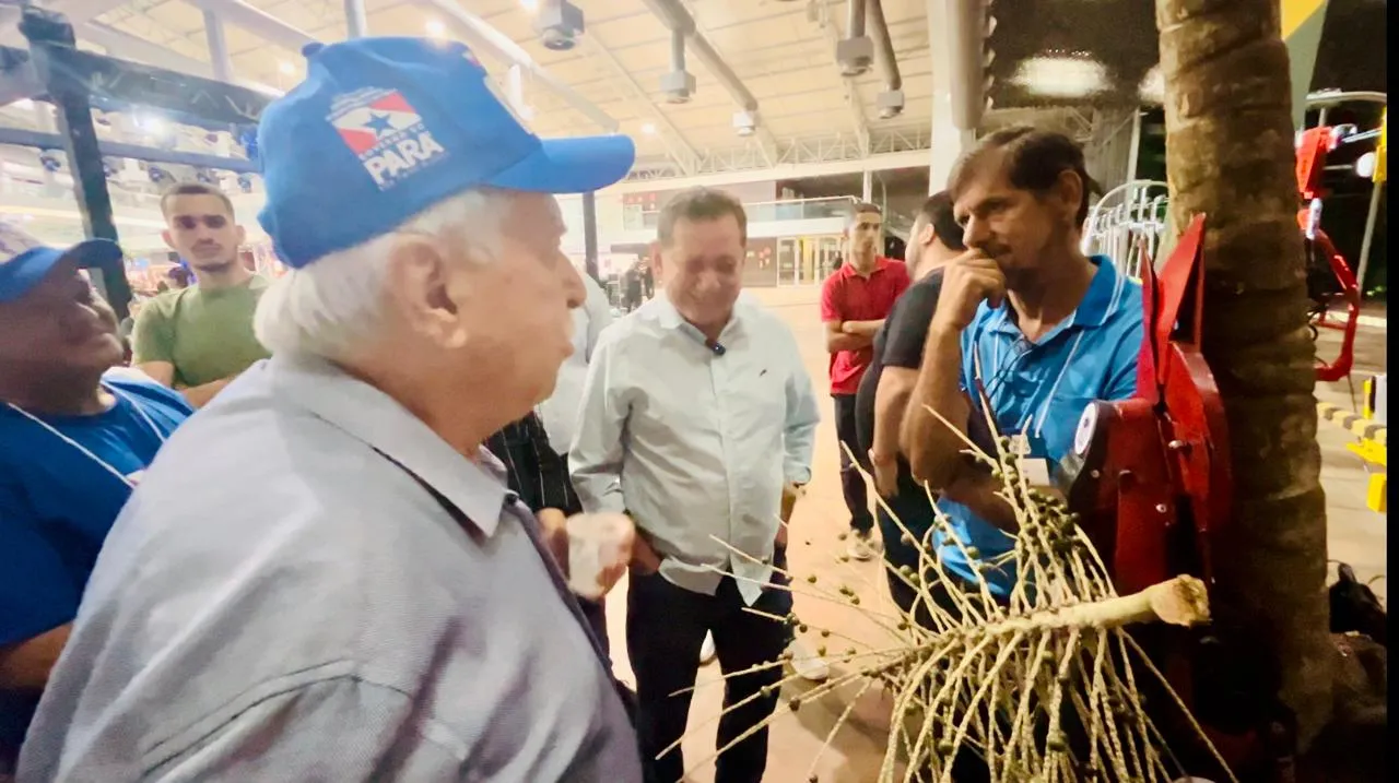 Máquina de colher açaí por controle remoto é a sensação do Festival do Açaí em Belém 2 festival do açaí