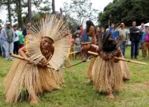 Captura-de-tela-2024-06-01-164559-300x215 Importância social da Comissão Intersetorial de Saúde Indígena nos territórios