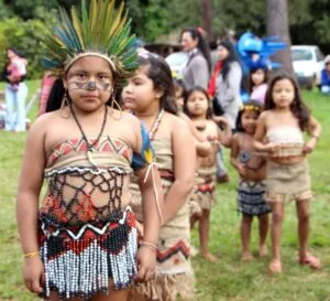 Captura-de-tela-2024-06-01-170658-1-300x273 Importância social da Comissão Intersetorial de Saúde Indígena nos territórios
