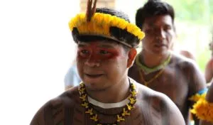 Captura-de-tela-2024-06-01-170750-300x176 Importância social da Comissão Intersetorial de Saúde Indígena nos territórios