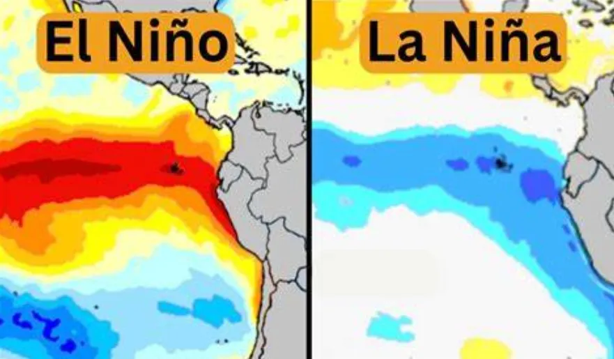 el niño