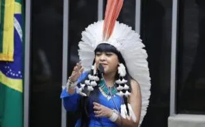 Captura-de-tela-2024-06-03-185206-300x186 Comissão da Amazônia Realiza Audiência Pública sobre Direitos da Natureza