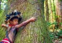 Brasil vira referência global na conservação das florestas tropicais Captura De Tela 2024 06 04 174405