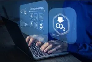 Captura-de-tela-2024-06-11-133743-300x203 A 'Remoção de Carbono Baseada na Natureza' é Melhor que Compensações de Carbono?