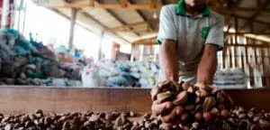 Captura-de-tela-2024-06-13-120916-300x144 Cooperativas Impulsionam Nova Era de Sustentabilidade no Brasil