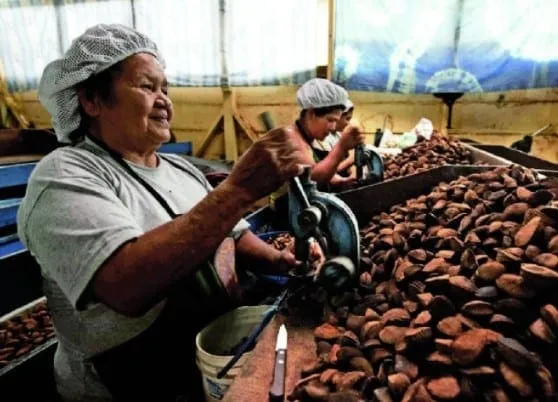 Captura de tela 2024 06 13 123057