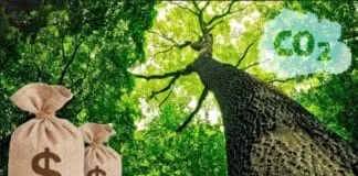 Captura De Tela 2024 06 20 122027