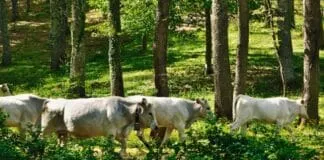 Captura De Tela 2024 06 20 124030