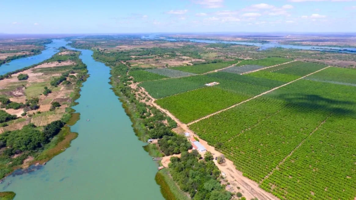 Captura de tela 2024 06 21 124100