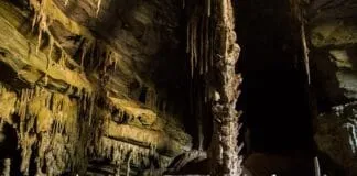 Captura De Tela 2024 06 27 095057