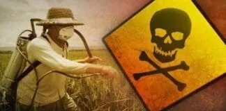 Captura De Tela 2024 06 27 150758