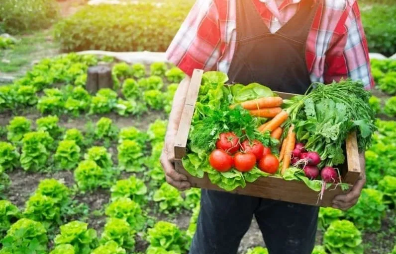 Captura de tela 2024 06 28 155650