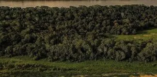 Porto Praia Rio Solimoes