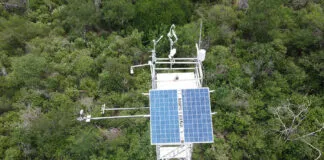 Torres de fluxo, geram dados que indicam a Caatinga entre os sumidouros mais eficientes de carbono, entre as florestas secas do mundo