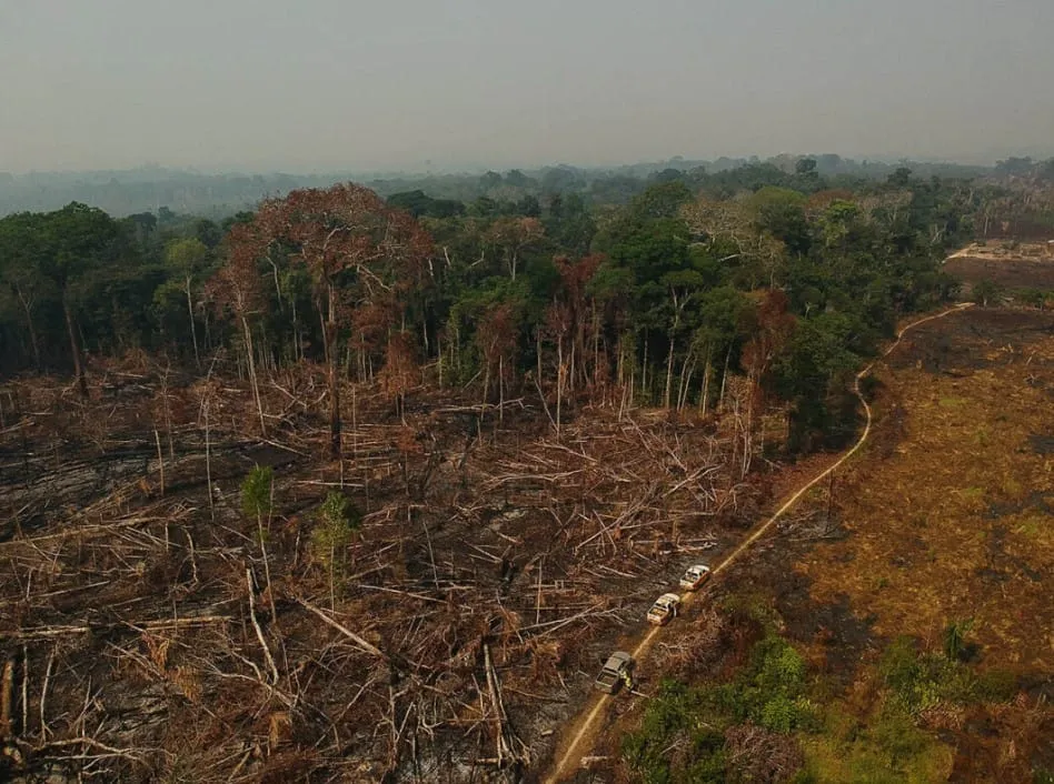 Captura de tela 2024 07 04 154755