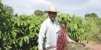 Captura De Tela 2024 07 04 164757