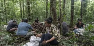 Captura De Tela 2024 07 05 112957