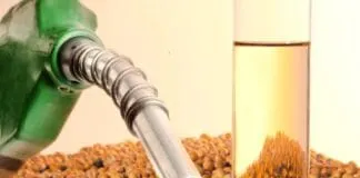 Captura De Tela 2024 07 05 115035