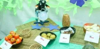 Captura De Tela 2024 07 05 144122