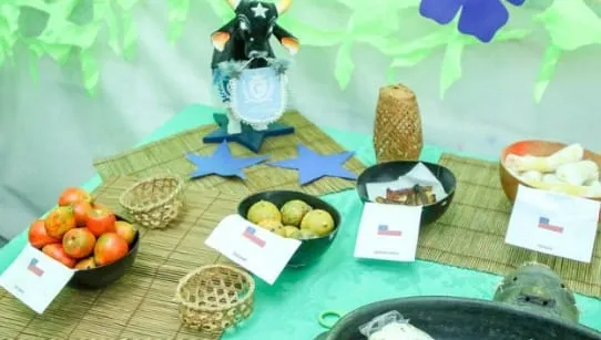 Captura de tela 2024 07 05 144122