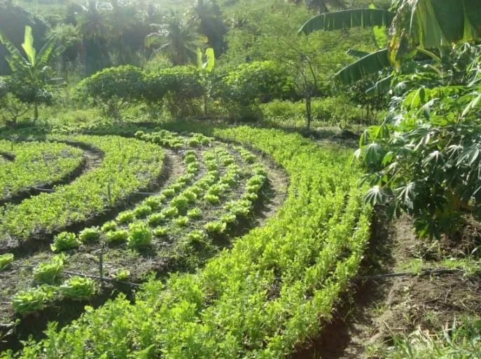 Captura de tela 2024 07 09 161813