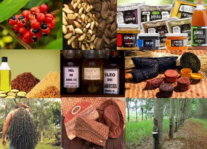 Captura de tela 2024 07 10 100051