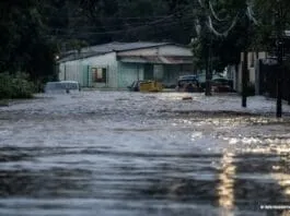 Captura De Tela 2024 07 12 200634