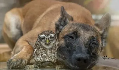 Captura de tela 2024 07 15 181926