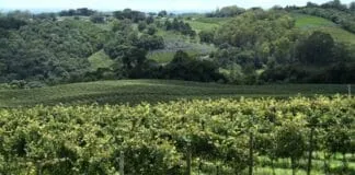 Captura De Tela 2024 07 17 104103