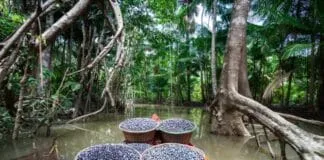 Captura De Tela 2024 07 17 122231