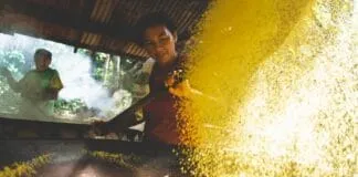 Captura De Tela 2024 07 19 180110