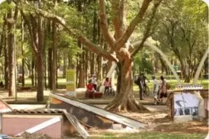 Captura-de-tela-2024-07-19-183356-300x199 Apenas 6,9% das Áreas Urbanas Brasileiras são Cobertas por Vegetação