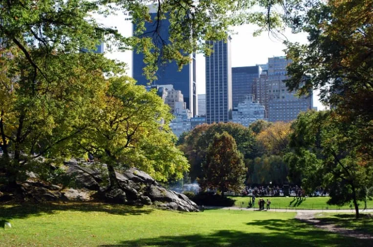 Captura de tela 2024 07 19 183632