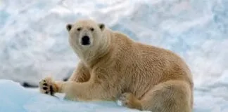 Captura De Tela 2024 07 22 114554