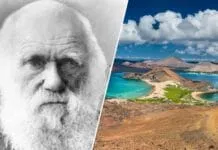 Captura De Tela 2024 07 22 174211