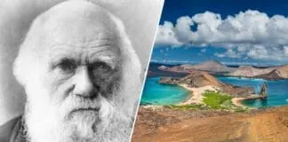 Captura De Tela 2024 07 22 174211