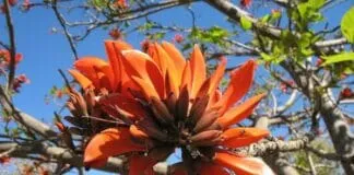 Captura De Tela 2024 07 22 185613