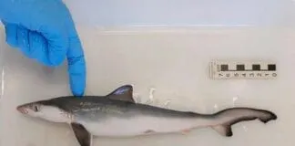 Captura De Tela 2024 07 23 173656