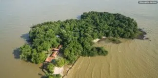 Captura De Tela 2024 07 24 174423