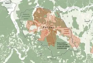 Captura-de-tela-2024-07-26-131142-300x203 Como os 'cowboys de carbono' estão lucrando com a floresta amazônica protegida