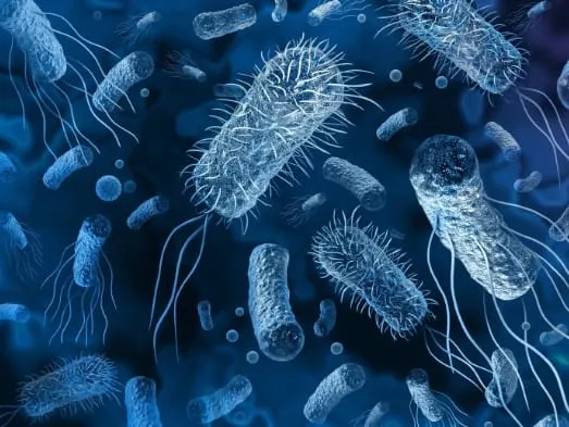 Captura de tela 2024 07 26 155420