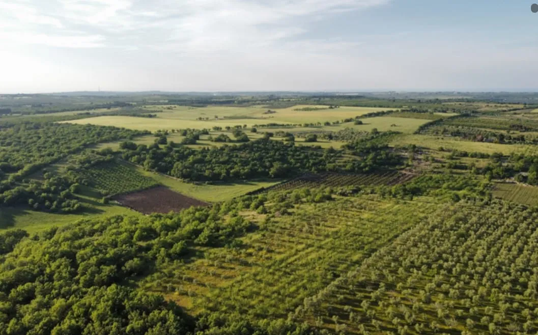 Captura de tela 2024 07 26 181303