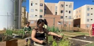 Captura De Tela 2024 07 26 194231