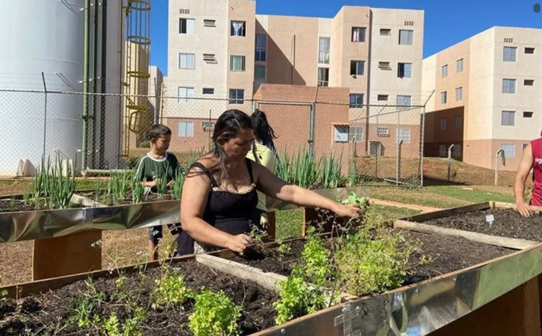 Captura de tela 2024 07 26 194231