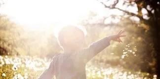 Captura De Tela 2024 07 29 103901